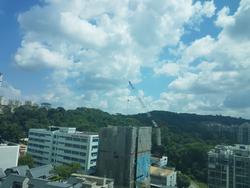 Hillview Regency (D23), Condominium #148569252